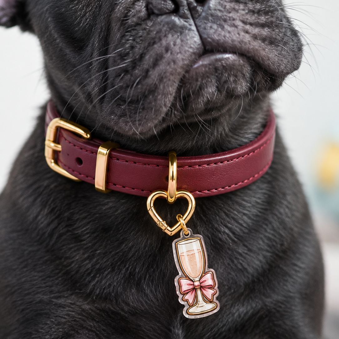 PAWSECCO PLEASE · Ladies Club