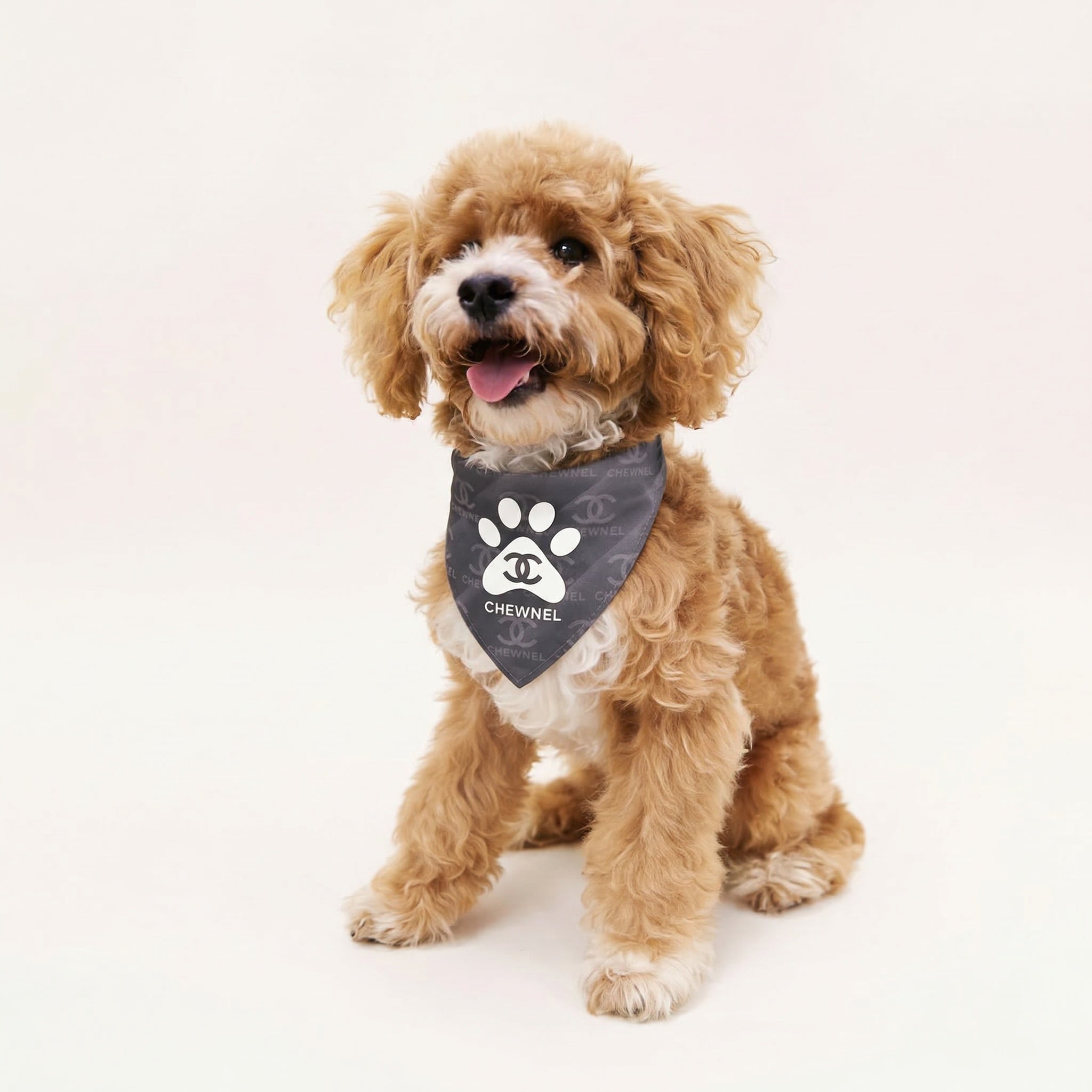 Chewnel Pup de Paris