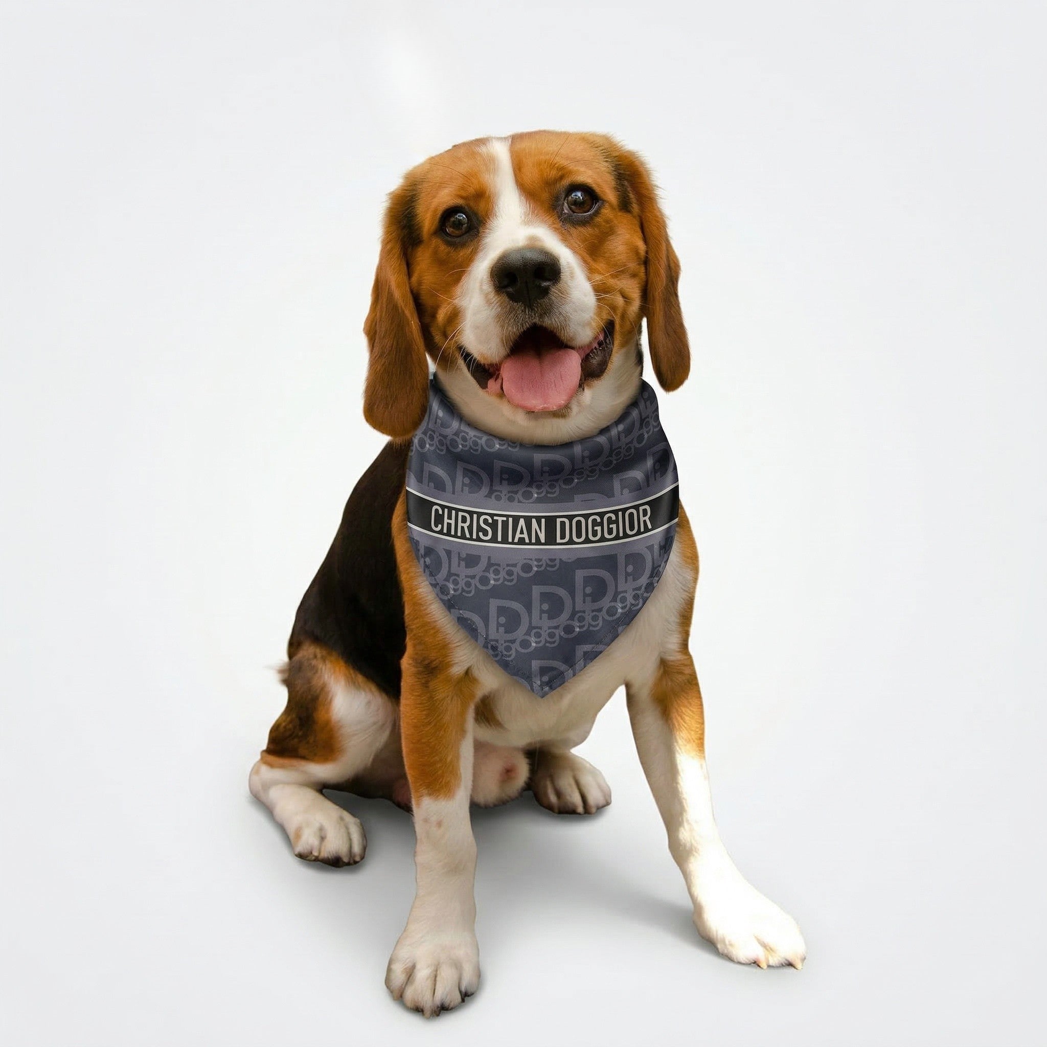 Christian Doggior Le Bark