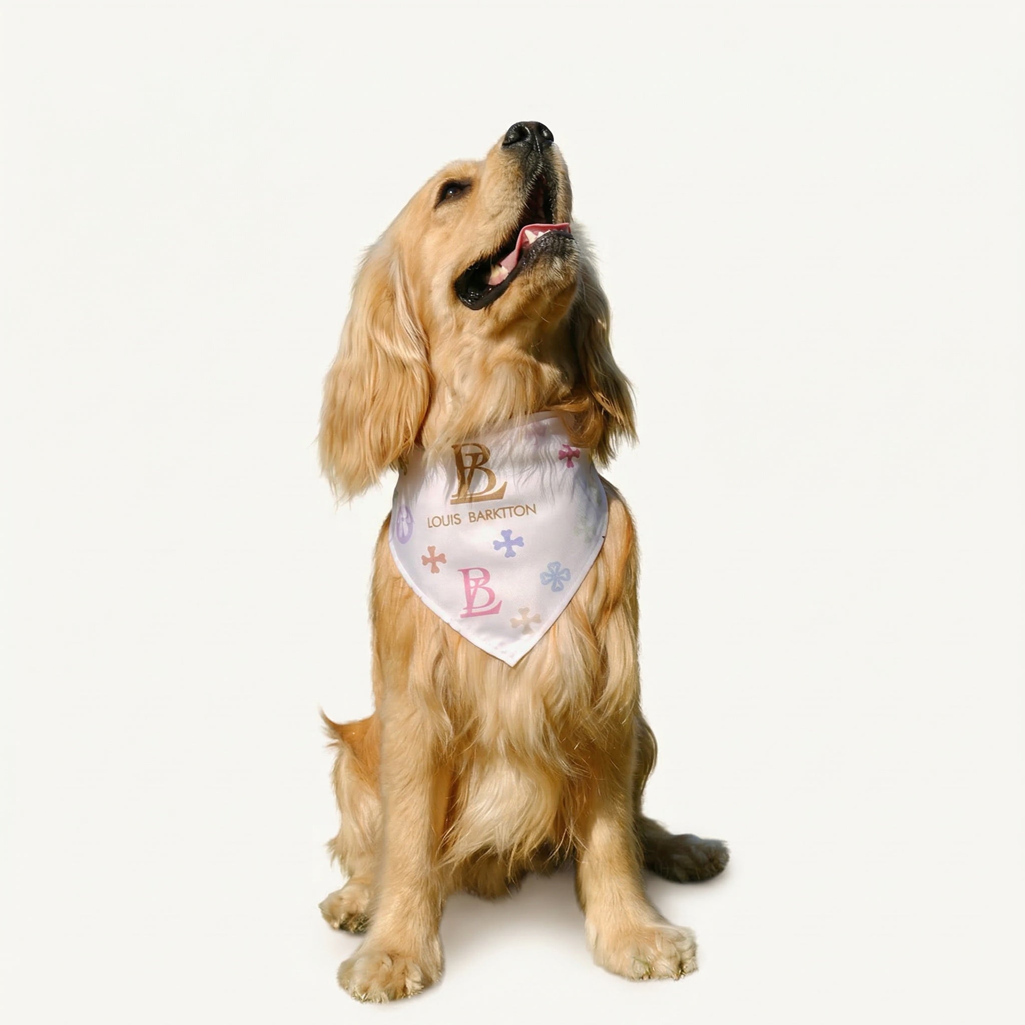 Louis Barktton Paws de Colour