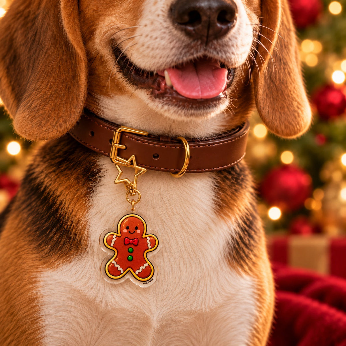 PAWDORA Christmas Gingerbread charm with star clasp clipped through the gold collar buckle